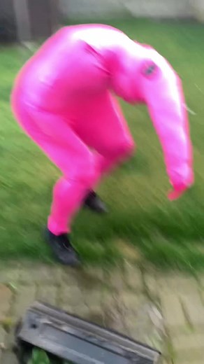 Snoodle Returns! Jumping Creature Meme in Room