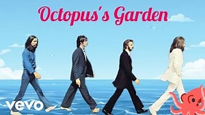 OCTOPUS'S GARDEN Lyrics - BEATLES | eLyrics.net