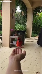 229K views · 10K reactions | Moon | International Photography | Facebook