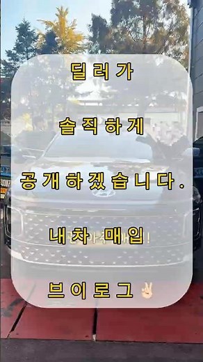 중고차 딜러가 헤이딜러 내차팔기 어떻게 진행하는지 과정 보여준다 감가도 했음