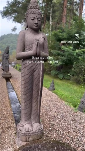 10K views · 131 reactions | Op zondag 8 november 2025 organiseert...