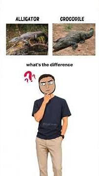 Crocodile vs Alligator: What's the Difference? 🐊