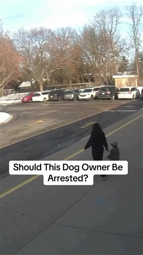 Should This Dog Owner Face Legal Consequences?