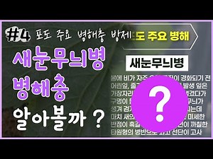 포도 병해충 방제 - 새눈무늬병
