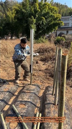 Homemade Bamboo Pile Driver: Smart Farm Tool for Planting Stakes