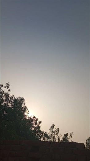 morning view #nature #relax #birds #sleep #calm