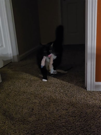 Remote Work Challenges During Bad Weather