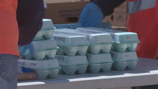 App allows volunteers to pick up and deliver food to people in need