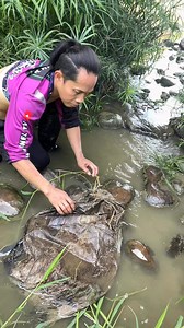 Three types of fish trapped in a sack. | Angelo Vlog