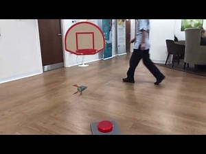 Reality Composer demo