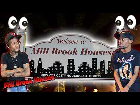 INSIDE MILL BROOK PROJECTS (BRONX)