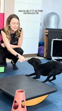 What is a physical therapy session like for a puppy almost recovered from distemper? 🤔 #dog #dogs
