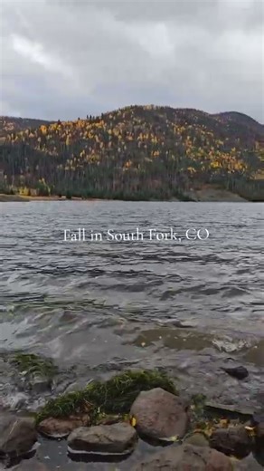 Fall in South Fork, CO is incredible! #Colorado #sanluisvalley #southfork #fallcolors