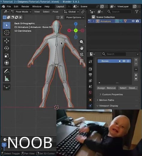 Noob VS Pro. Armature in blender
