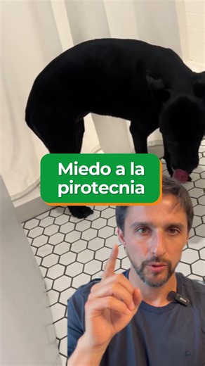 FILOSOFIA ANIMAL- Educación canina sin castigos on Instagram: "Mucho más en nuestro curso COMPRENDER PARA EDUCAR 💚 Si querés ayudar a tu perro a atravesar el miedo a la pirotecnia (y otros problemas emocionales) desde la educación en positivo ¡Te esperamos! (Link en el perfil) Incluye un módulo específico sobre miedo a ruidos fuertes. 📅 Si te inscribís antes del 10/12, accedés a una sesión en vivo con Juan sobre miedo a la pirotecnia. 👉 Compartí esta info con otros tutores que puedan necesita