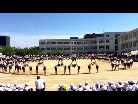 小学校運動会 組体操