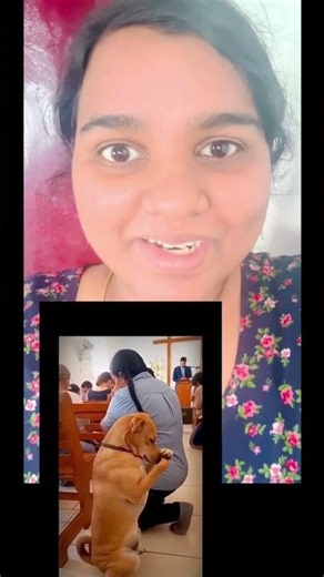 நாய் ஆலயத்தில் சென்று ஜெபம் செய்கிறது# dont miss it # The dog goes to the temple and prays.