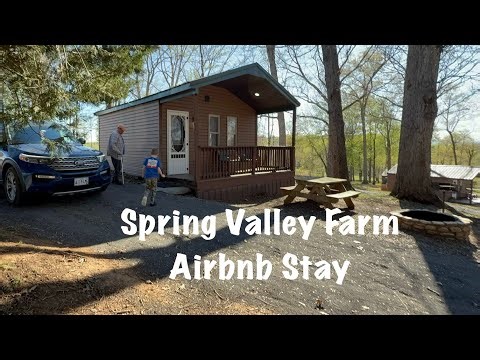 Spring Valley Farm Airbnb Cabin, Horses and Nature are Plentiful 