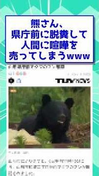 Bear defecates in front of prefectural office and picks a fight with humans lol #2ch #2ch funny t...