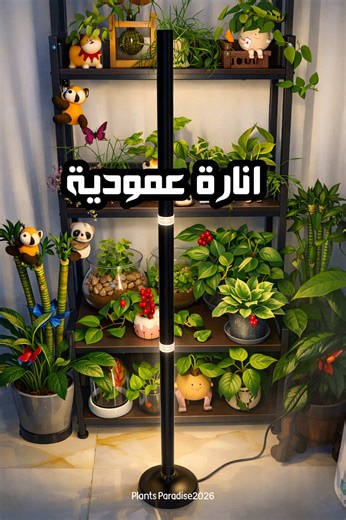 توفرت من جديد - وللمرة الثالثة✨ الإنارة اللي خلّت الزوايا المظلمة تصير خضراء🌱 إنارة عمودية LED Grow Light بعد ما أثبتت كفاءتها مع النباتات الظلية والنوادر و بنتائج روعة - 243 ليد - طيف كامل Full Spectrum - كوالتي 💯 السعر 30,000 دينار خدمة التوصيل لكل محافظات العراق 🚙 توصيل مجاني لـ كل ٣ قطع متوفر جملة لاصحاب المتاجر الزراعية أهلاً و سهلاً بكم للاستفسار عن تفاصيل المنتجات والأسعار، يرجى التواصل معنا مباشرة عبر الواتساب: 📞 07731999714 أو اضغط على الرابط للمراسلة الفورية: 👇 راسلنا من هنا: ‏ ‏h