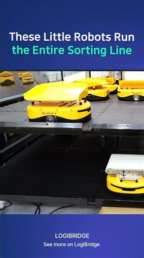 LIBIAO Robotics Mini Yellow Sorting Robots | High-Speed Autonomous Sorting System
