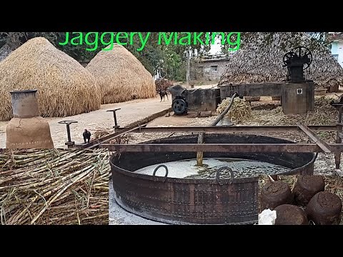 Traditional Jaggery Making Process | Jaggery Making Step By Step |