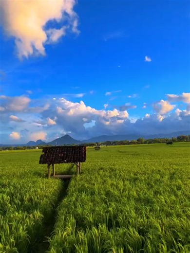 Kamera HP 1 Jutaan Sejernih POCO X3