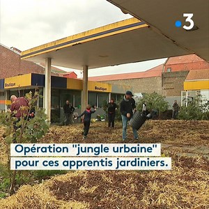 Transformer les ruines d'une station-essence abandonnée en jardin partagé... C'est l'initiative un peu folle de l'artiste dunkerquois "Anonyme", qui a fait appel à une vingtaine de volontaires armés de brouettes et de pelles... en attendant la floraison au printemps. | France 3 Nord Pas-de-Calais
