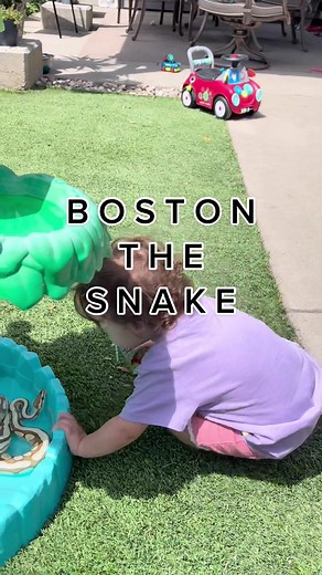 She’s a very docile and sweet snake too! #butterballpython #snakes #snakesoftiktok #newfamilymember #python #toddlermom #type1toddler #diabetictoddler #bathtime #type1toddler #momlife #fyp