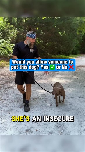 1.8K views · 58 reactions | How to properly assess the body language of an insecure dog so you know what to look for before interacting  #dogs #dogtraining #dogtrainer #dogbodylanguage #dogtrainingtips | Canine Revolution Dog Training | Facebook