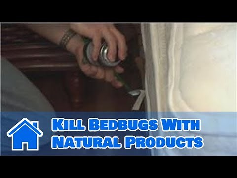 Home Pest Control : How to Kill Bedbugs With Natural Products