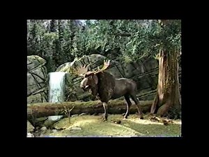 Summer 2005 Bumpers | Cartoon Network