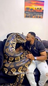 He Brought Home A Python To Marry As Wife Unimaginable | Dominic True Stories Tv