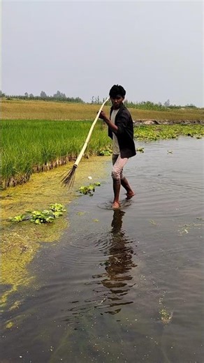 Amazing net fishing under the open sky #fishing