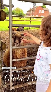 18 reactions | Glebe Farm on Reels | Facebook