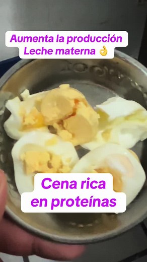 Alimentación adecuada para perras lactantes
