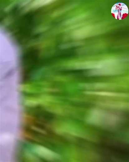 Wise Sayings by Hon Meshack Kilesi