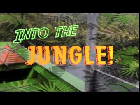 Into the Jungle