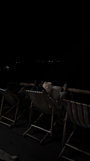 #pulisnyopooo👮❤️ #miucouple👮🏻‍♂️👮🏻 #chillin #fypシ゚