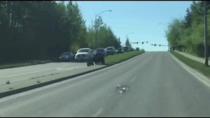 541K views · 4.1K shares | BEAR CROSSING: Two bear cubs out for a stroll with mama bear bring Alaska traffic to a standstill as they try to cross a highway. | ABC 7 Chicago | Facebook