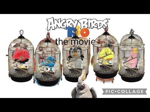 Angry birds rio the movie 
