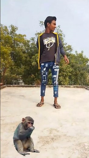बंदर को बचाने आए बजरंगबली 🙏🙏 #viral #shorts #youtubeshort