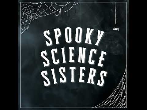 Not-So-Strange Things: The Montauk Project