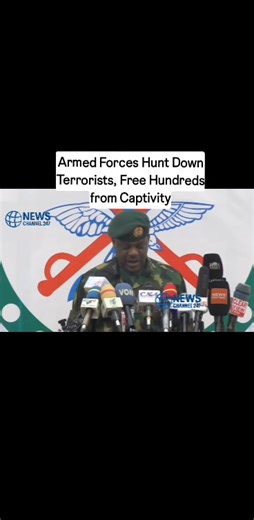 Armed Forces Hunt Down Terrorists, Free Hundreds from Captivity | News Channel 247