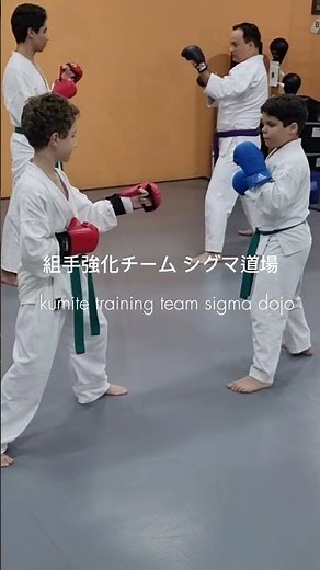 KUMITE TRAINING #shorts #martialarts #selfdedense #karate #shotokan