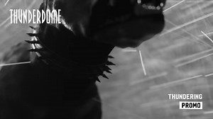 My new single “Thundering” will be out tomorrow o Thunderdome music! At 12:00 noon the vinyl (part III) will be available on the Thunderdome webshop! ⚡️⚡️ | Promo