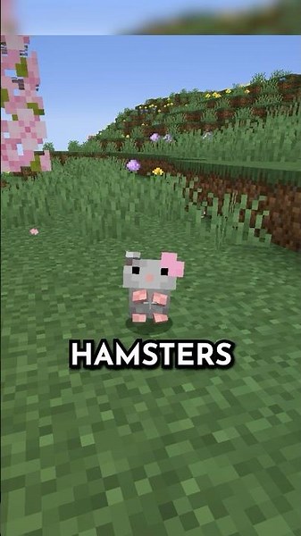 this mod adds hamsters to #minecraft