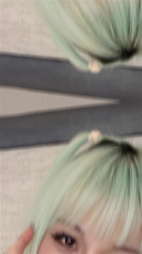 Delicious HiHa Treats for Everyone