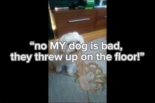 Understanding Beagle Behavior: Why Do They Do This?