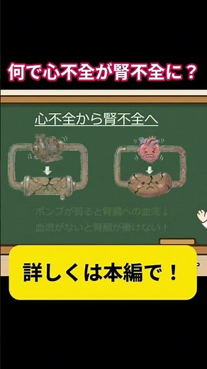 【PT/看護師へ】心不全→腎不全の仕組みをポンプとフィルターで超絶わかりやすく解説！